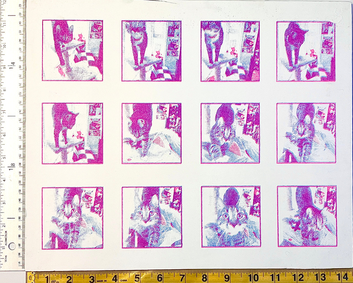Kitty Animation Risograph Art Print